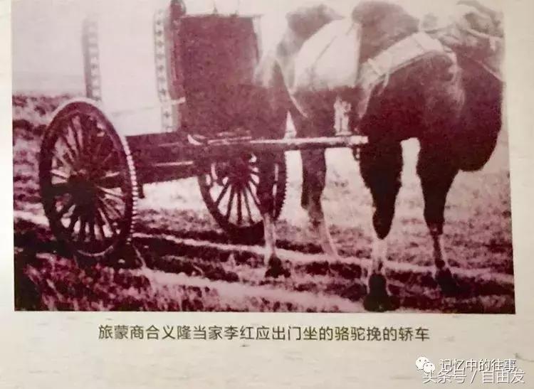 老包头人的生活缩影,包头各地往事