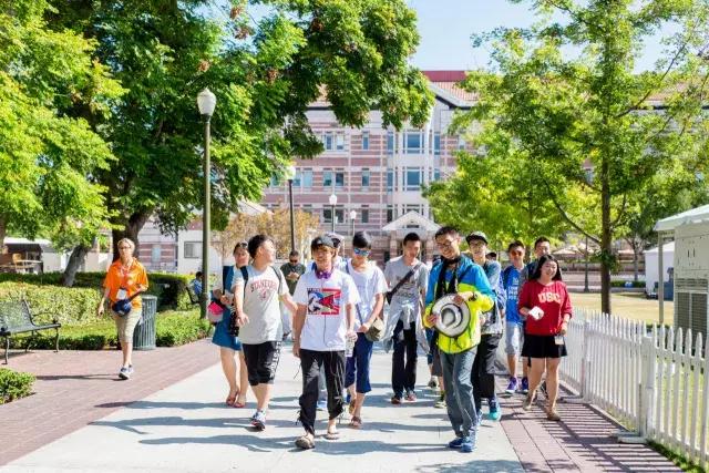 蓝莓留学,新东方暑期国外游学