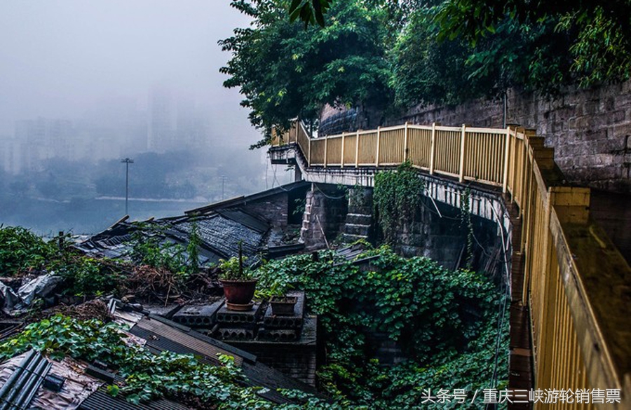 重庆环线最佳线路,重庆渝中区最繁忙的路线