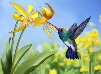 男女之间幽默搞笑顺口溜,男女之间的关系顺口溜