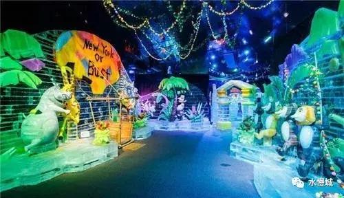 荷你有约金湖音乐节,荷你有约开学典礼