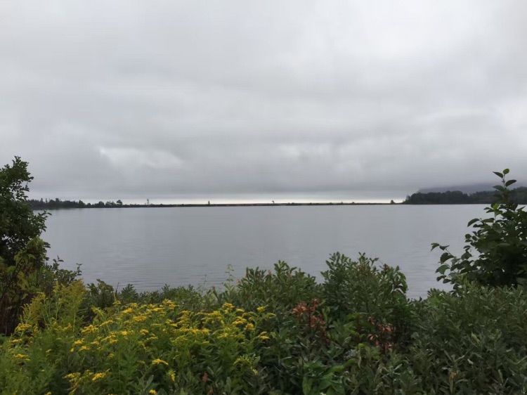 八位佳人在远方——初中闺蜜团加拿大游之美好印记