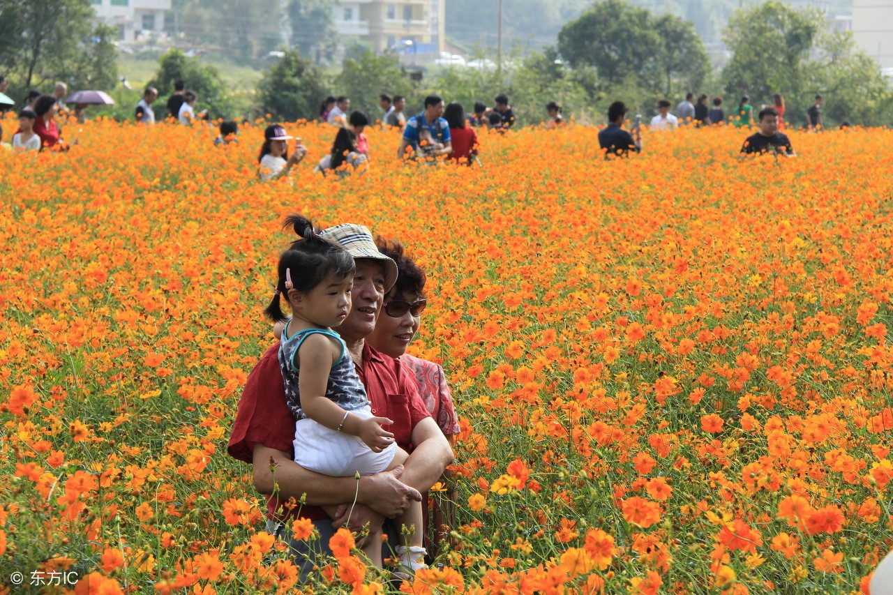 利润很吓人10个冷门农村创业项目,农村小本生意创业摆摊致富