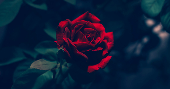 怀孕后老公给我准备的水果,怀孕时老公端水果第一个给婆婆吃