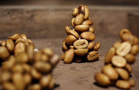 猫屎咖啡为什么昂贵,猫屎咖啡背后的残酷真相