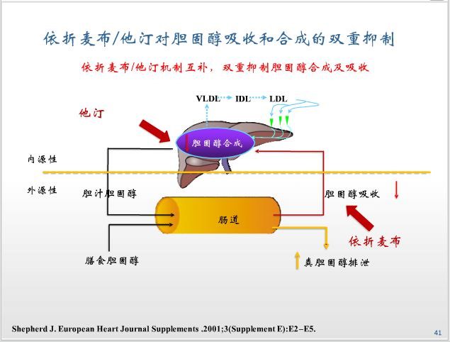 降胆固醇，抗血小板——冠心病的基础治疗