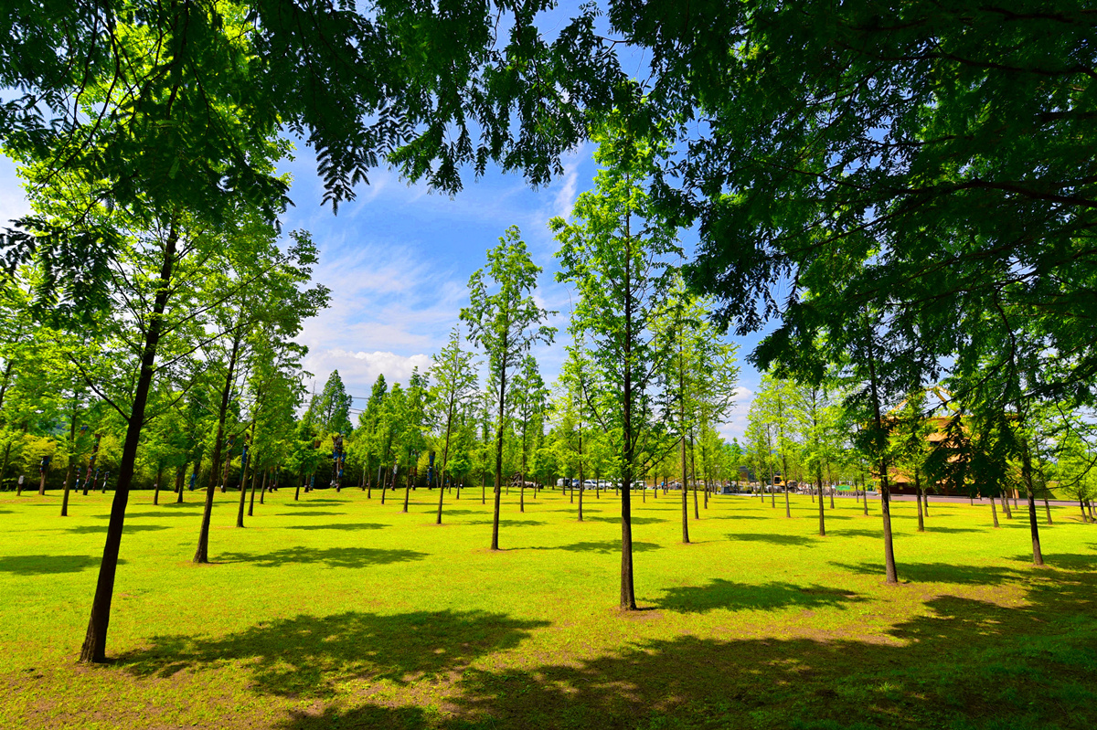 韩国排名第一的韩剧,韩国公认最好看的韩剧