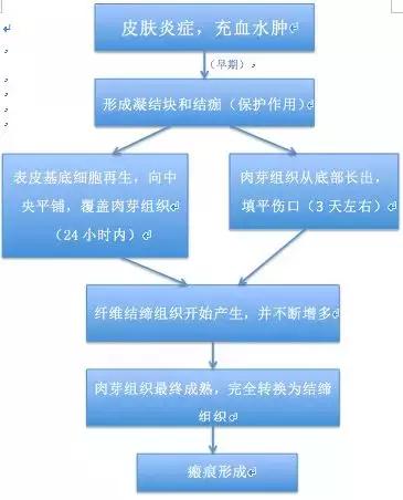 祛痘印干货分享,最全祛痘攻略快速祛痘不留痕