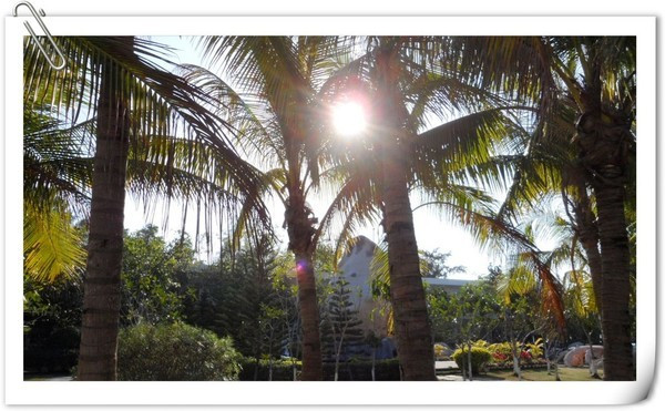 带着梦想去远行视频,带着梦想出发走过春夏秋冬