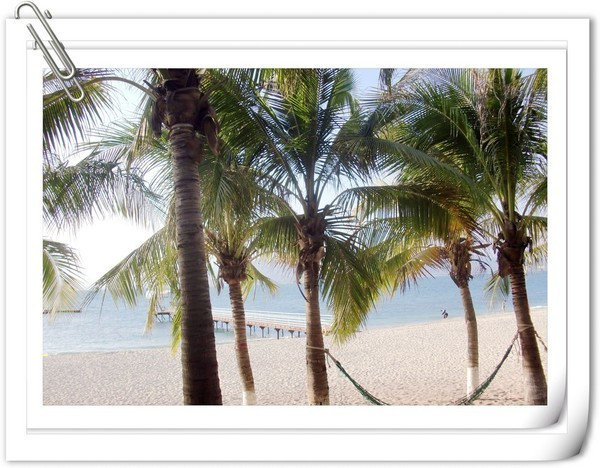 带着梦想去远行视频,带着梦想出发走过春夏秋冬