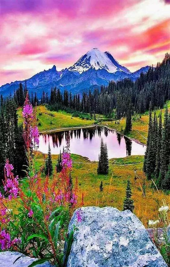 14张会动的照片,会动的照片大全大图