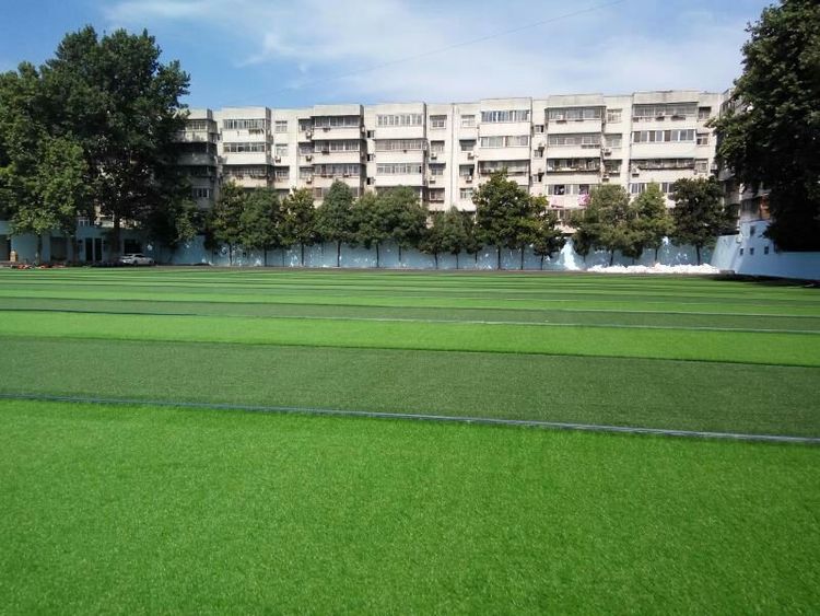 驻马店建设足球场,驻马店一高景象