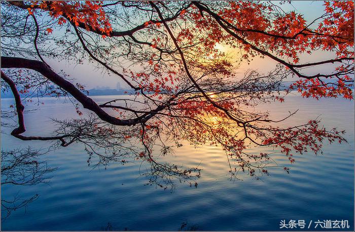 活得清醒又糊涂,人活到极致就是素静与纯简