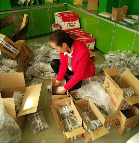 「电商人物」从打工妹到电商创业好青年——杨爱花