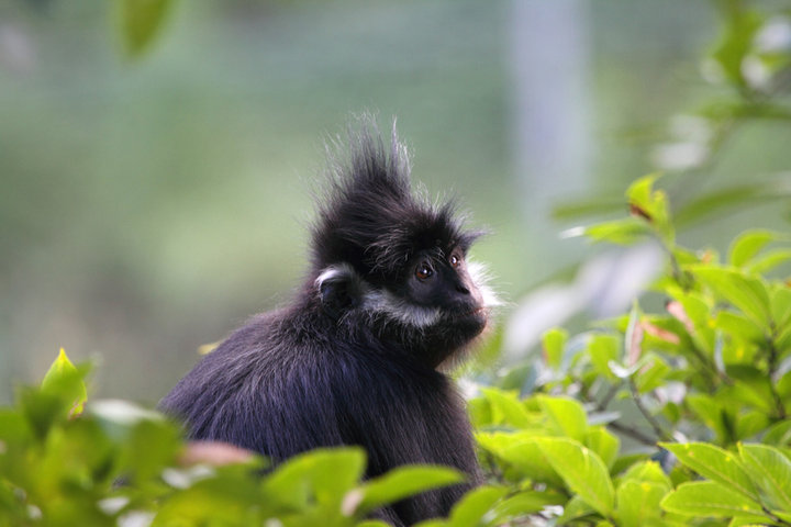 黔渝之光！乌江画廊被专家盛赞：旅游价值比张家界和梵净山还高！