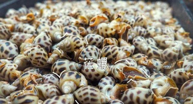 端午节吃什么海鲜比较好,端午海鲜如何选