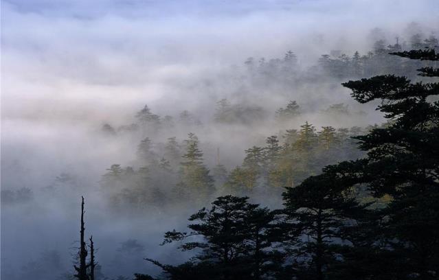 峨眉半山七里坪,峨眉半山洪雅七里坪