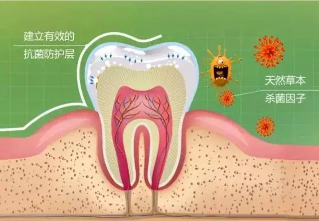 二十岁女生口臭怎么治,二十岁女孩口臭吃什么药
