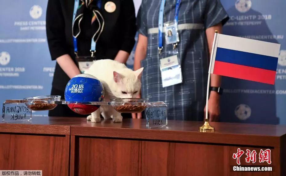 世界杯赛事今日赛程安排,世界杯今晚的赛事