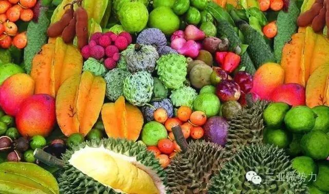 新华社攀枝花,新华社三亚