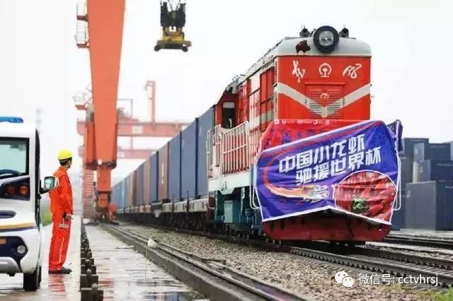 俄罗斯世界杯中国,2019女排世界杯中国俄罗斯