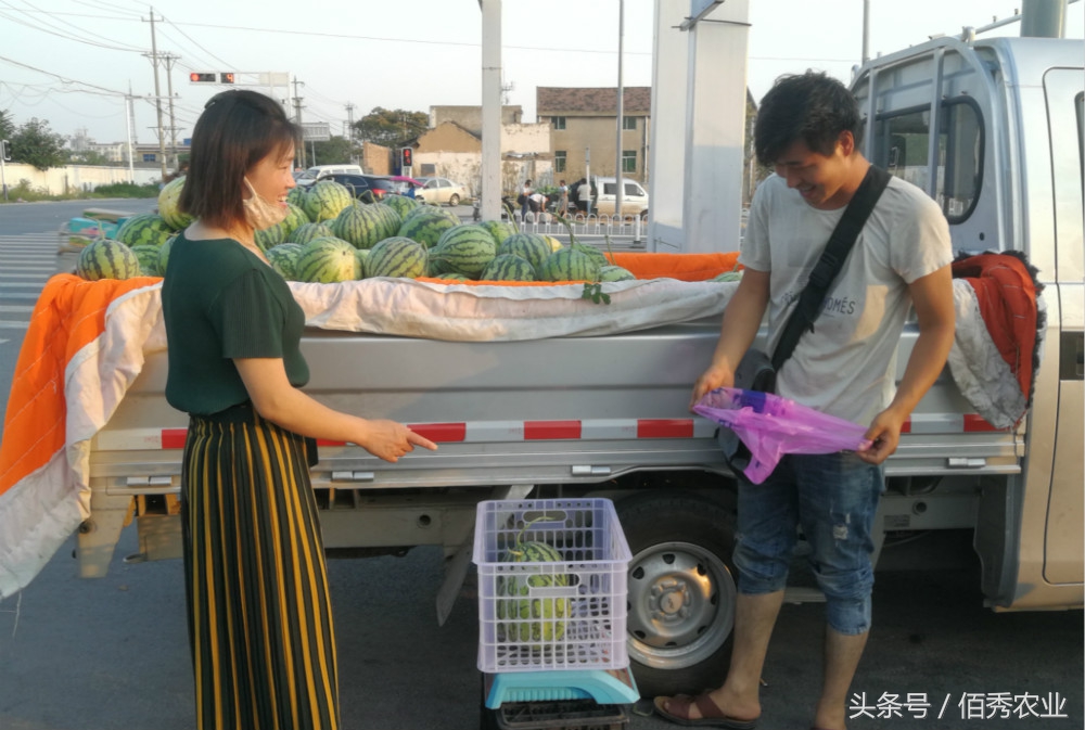 卖西瓜的一年挣三十万,小伙子卖西瓜一年赚100万