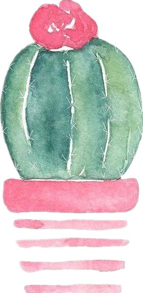 端午时节粽子飘香,端午时节粽香四溢