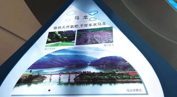 马龙荞丝,马龙土特产荞丝