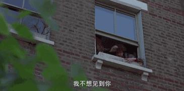 足球和爱情无法共存,足球和爱情