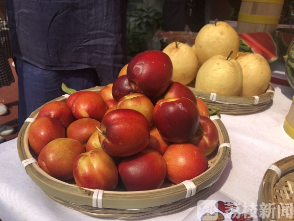 水果生态采摘园南京,水果采摘园基地南京