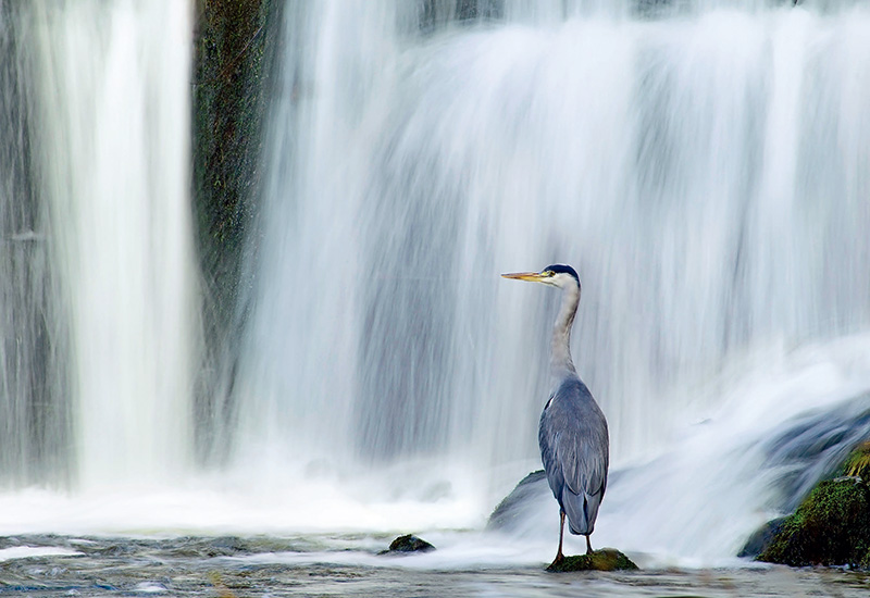 鎯犳儬鎽勫奖浣滃搧娆ｈ祻,鎯犳媿鎽勫奖