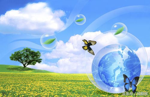 浅谈我国环保政策,中国环保问题的分析