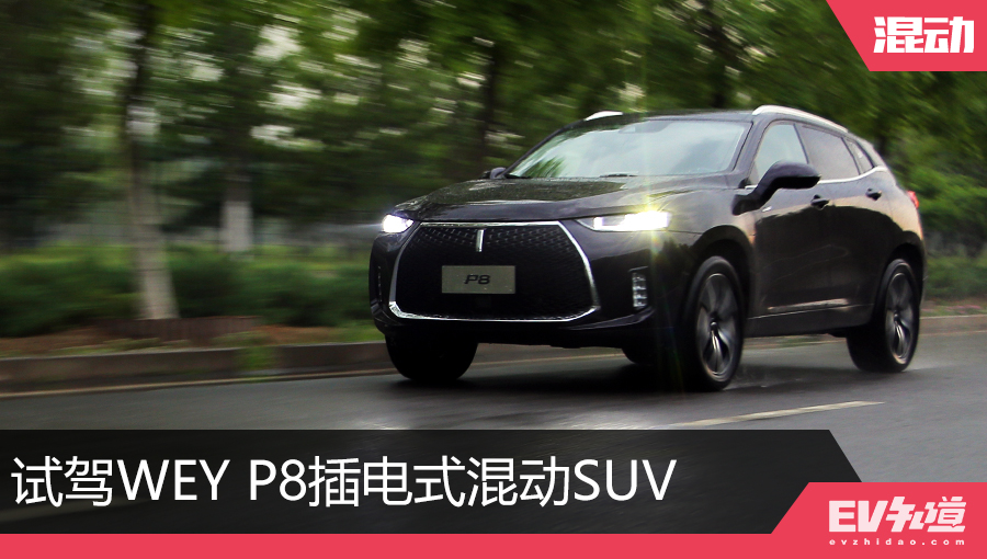 WEYP8凭什么在众多自主品牌中“横着走”？试驾之后你就知道！