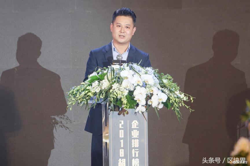 胡润区块链公司排名,区块链第一批名单