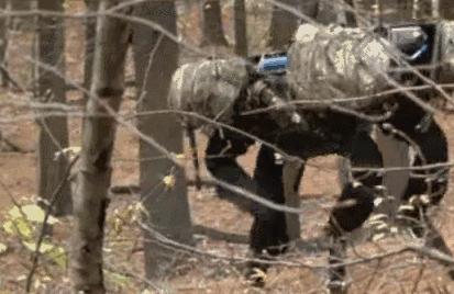 我国85机枪,中国85机枪