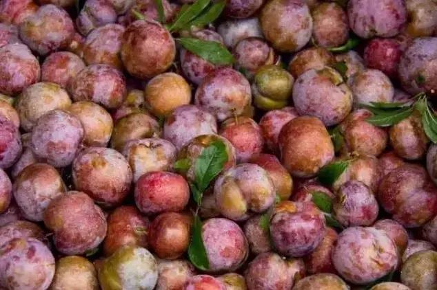 如果肇庆的美食及美景来一场足球赛，胜出的将会是……