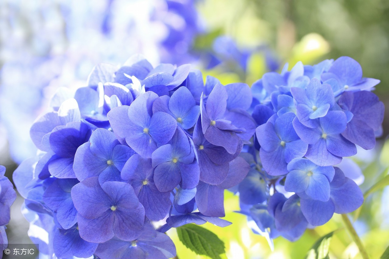 生活小常识收藏,各种实用的生活小常识