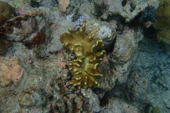 端午来这个绝美海岛,端午海岛游