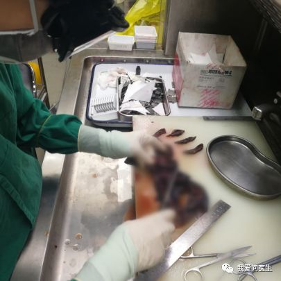 「疑问」病理报告，为啥不能“立等可取”？