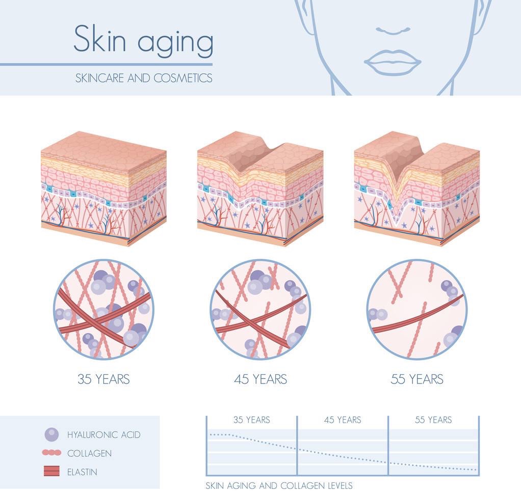 几十块钱黑绷带面霜,赫莲娜哪款面霜比较好用