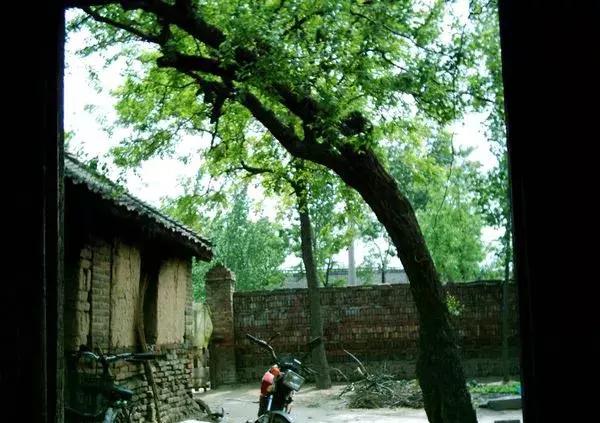 一日不见如隔三秋下一句什么,一日不见如隔三秋用古诗怎么说