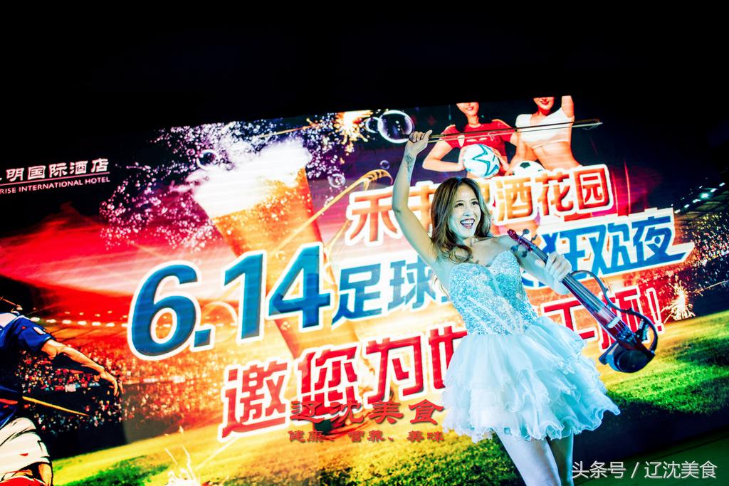 沈阳球迷嘉年华,沈阳世界杯观赛