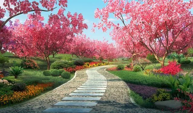 父亲节的特别旅行,父亲节带父亲一起出游