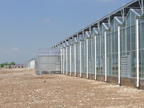 温室蔬菜大棚建设注意事项,温室大棚和普通大棚有什么不一样