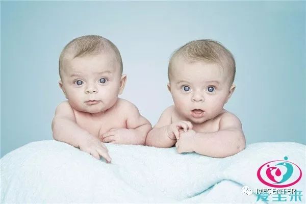 捐卵最新法律,捐卵手续