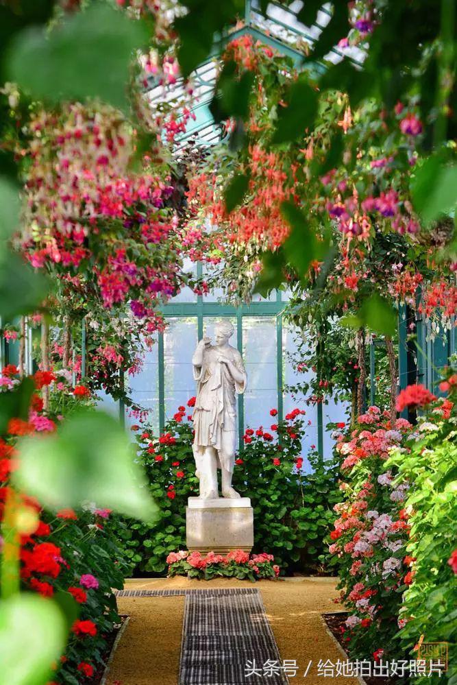 布鲁塞尔老街图,布鲁塞尔街头的美女