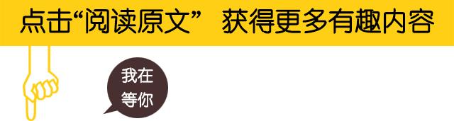 羊肉的10大忠告,调理羊肉一般添加的东西