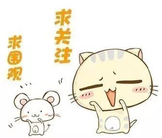 世界杯最搞笑的一场比赛,世界杯失误搞笑名场面