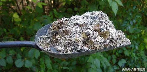 自制植物肥料制作方法,自制多肉植物的肥料