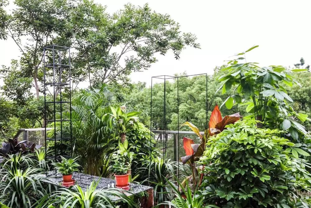 三五问：一场艺术家和写作者的相遇